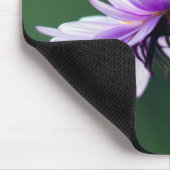 アルペンデイジー マウスパッド (コーナー)