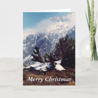 アルペンマウンテンクリスマスカードの雪 シーズンカード