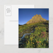 アルペンワイルドフラワーズ&マウントクレメンツアットローガンパス ポストカード (正面/裏面)