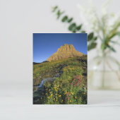 アルペンワイルドフラワーズ&マウントクレメンツアットローガンパス ポストカード (スタンド正面)