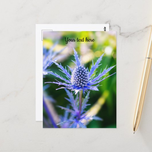 アルペンMannstreuはがき ポストカード (正面/裏面インサイチュ)