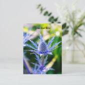 アルペンMannstreuはがき ポストカード (スタンド正面)