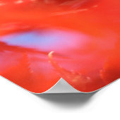 アルボリスト炎秋色：赤いカエデ葉の ポスター (角)