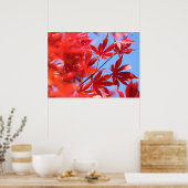 アルボリスト炎秋色：赤いカエデ葉の ポスター (キッチン)