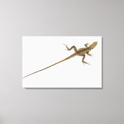 アルボレアルアガミド種の先住民から東部 キャンバスプリント (正面)
