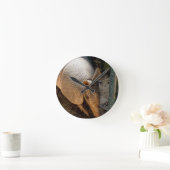 アルマジロの時計 ラウンド壁時計 (ホーム)
