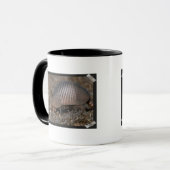 アルマジロの生息地のコーヒー・マグ マグカップ (正面左)