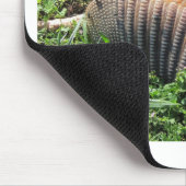 アルマジロの道殺害- Dasypodidae マウスパッド (コーナー)