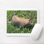 アルマジロの道殺害- Dasypodidae マウスパッド (マウス)