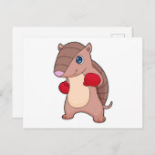 アルマジロボクシングボクサーボクシング手袋 ポストカード (正面/裏面)