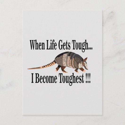 アルマジロ感動的動物 ポストカード (正面)