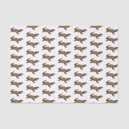 アルマジロ胴縁トカゲ漫画イラストレーション 薄葉紙 (正面)