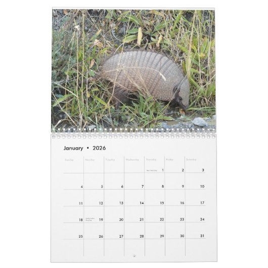 アルマジロ カレンダー (1月 2026)