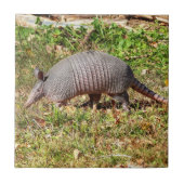 アルマジロ タイル (正面)