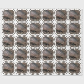 アルマジロ ラッピングペーパー (フラット)