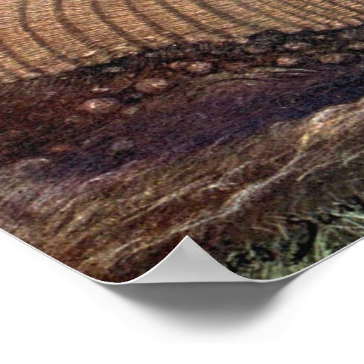 アルマディロスbyルイ・サージェント，ヴィンテージ野生動物 ポスター (角)