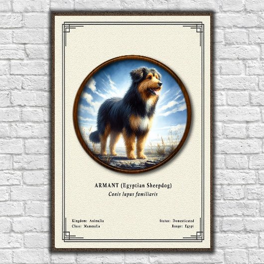 アルマン (エジプトの羊犬) 動物学シリーズ ポスター