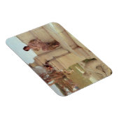 アルマ浮腫 | 1908年の春声 マグネット (右側)