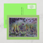 アルムエルブ ポストカード (正面/裏面)