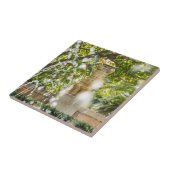 アルムダイナガーデンズの噴水 – パルマデマヨルカ タイル (側面)