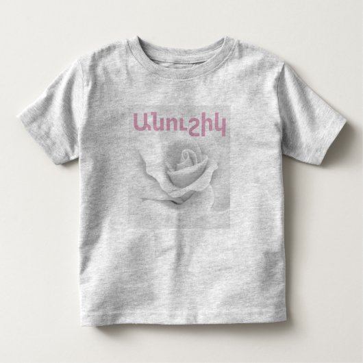 アルメニアことわざTシャツ トドラーTシャツ (正面)