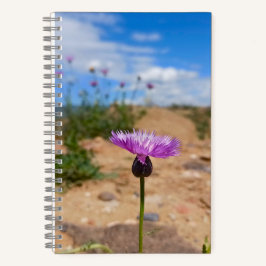 アルメニアの夏の紫の花  ノートブック