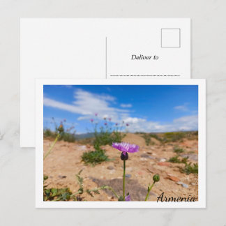 アルメニアの紫の花 ポストカード