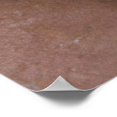 アルメニアンガンパルドッグポートレート ポスター (角)