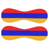 アルメニア国旗を持つ愛国的なソフトボール ソフトボール (パネル)