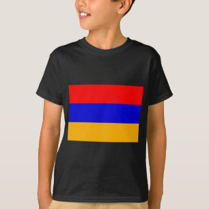 アルメニア Tシャツ