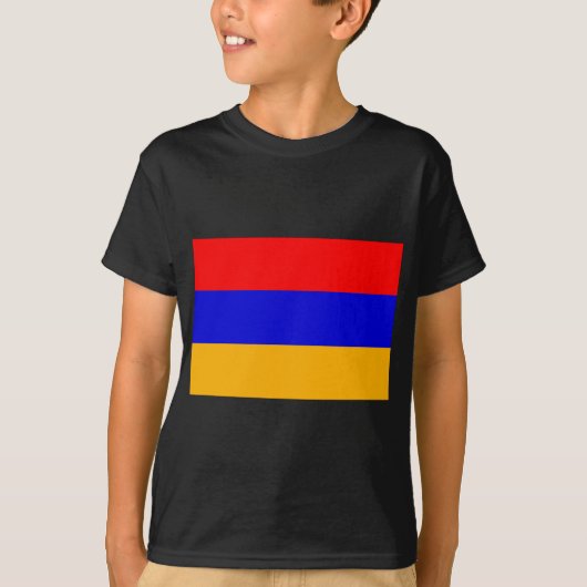 アルメニア Tシャツ (正面)