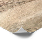 アルメリアライスレタデルモロ | Mar Mediterranneo ポスター (角)