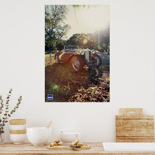 アルモスMGTC ポスター (キッチン)