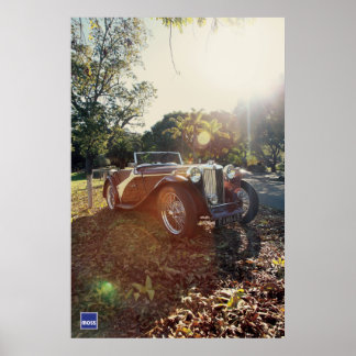 アルモスMGTC ポスター