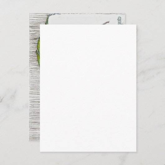 アルモファダベビーとマムエレファントウォーター色 ポストカード (正面/裏面)