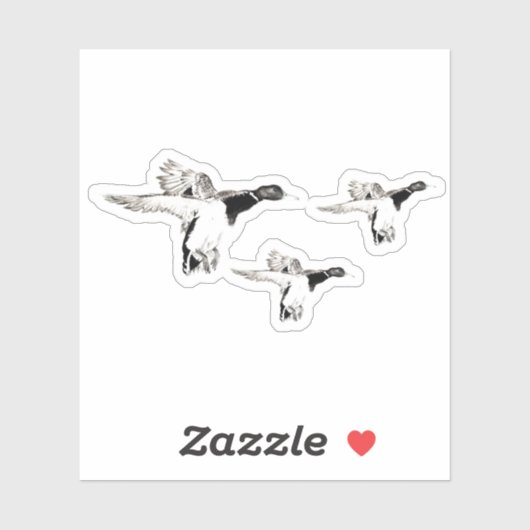 アルリ湾 シール (シート)