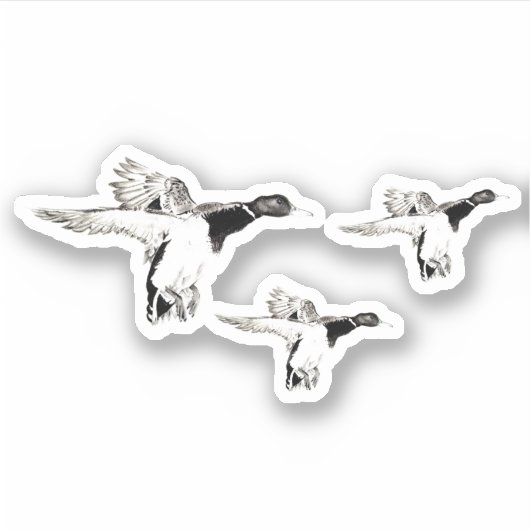 アルリ湾 シール (正面)