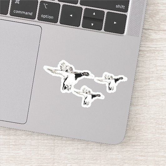 アルリ湾 シール (詳細)