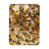 アルロズ・ハニー・ファームの養蜂 マグネット (縦)