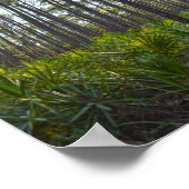 アル・ドーフィン島シェルマウンドパークトレイル ポスター (角)