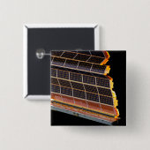 アレイのクローズアッ太陽のプビュー 缶バッジ (正面&裏面)