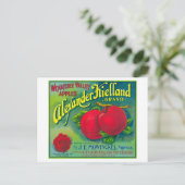 アレキサンダー・キールランド・アップル・ラベル – カシミア， WA ポストカード (スタンド正面)