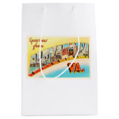 アレキサンドリアヴァージニアVAの古いヴィンテージ旅行郵便はがき ミディアムペーパーバッグ (正面)