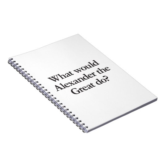 アレクサンダーが何をするか素晴らし。 ノートブック (右側)