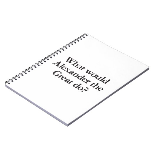 アレクサンダーが何をするか素晴らし。 ノートブック (左側)