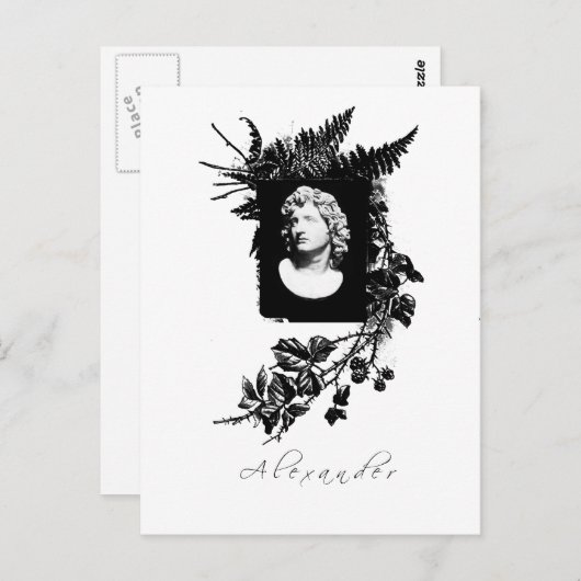アレクサンダー素晴らしダー ポストカード (正面/裏面)