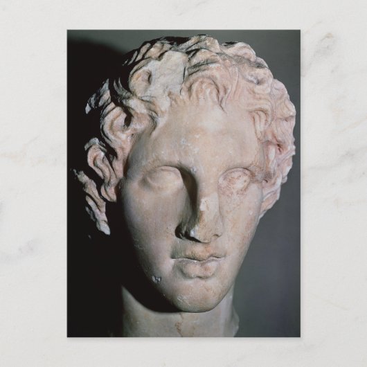 アレクサンダー素晴らし大王 ポストカード (正面)