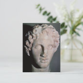 アレクサンダー素晴らし大王 ポストカード (スタンド正面)