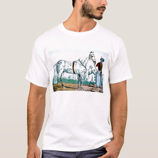 アレクサンダー・ザ・ホース、米国1840年 Tシャツ (正面)