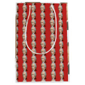 アレクサンダー・ハミルトンのギフトバッグ ミディアムペーパーバッグ (正面)